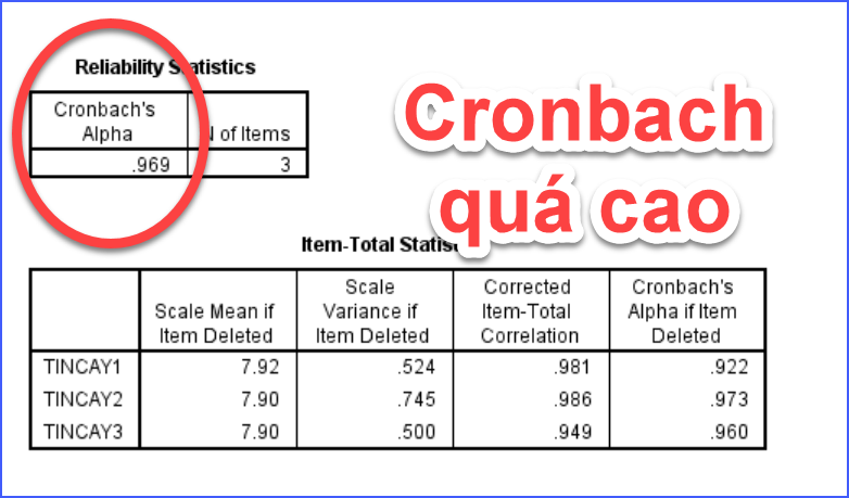 Cronbach’s Alpha cao vẫn sai